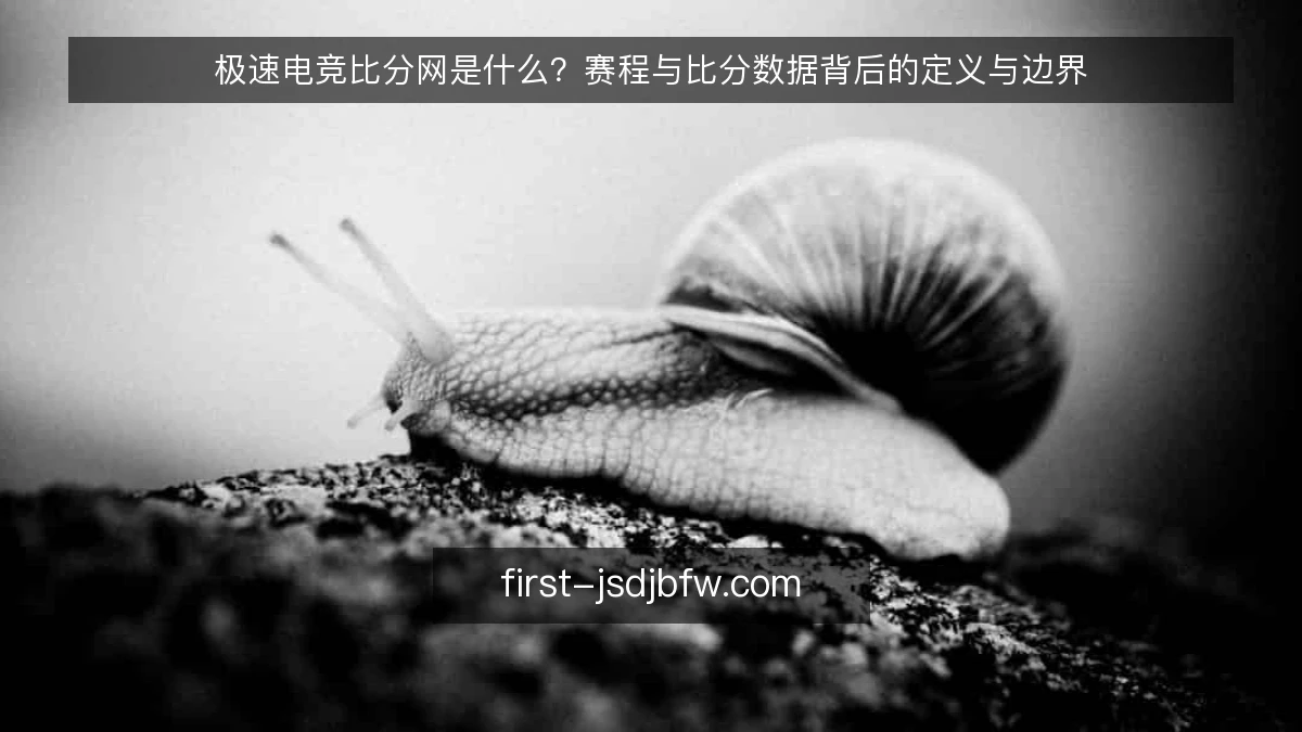 极速电竞比分网是什么？赛程与比分数据背后的定义与边界